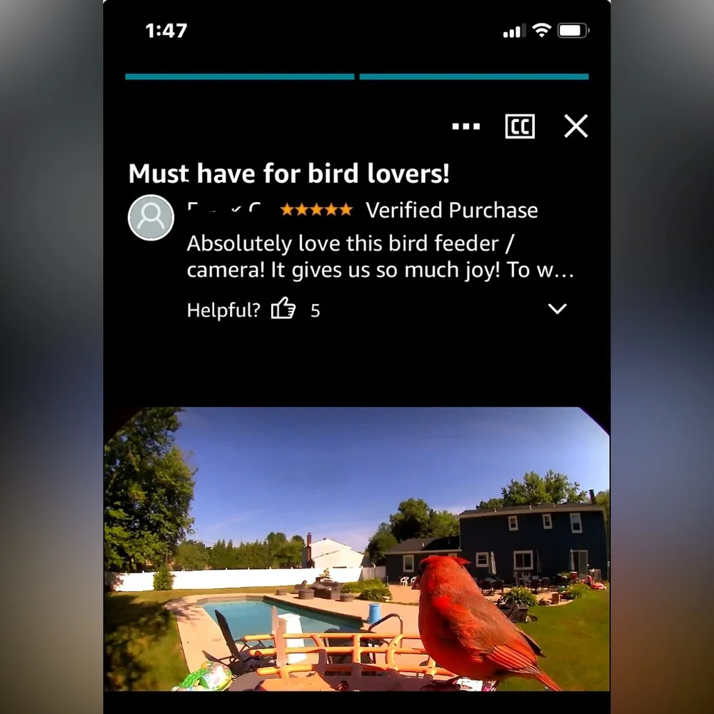 Birdkiss Smart Bird Feeder - NIB